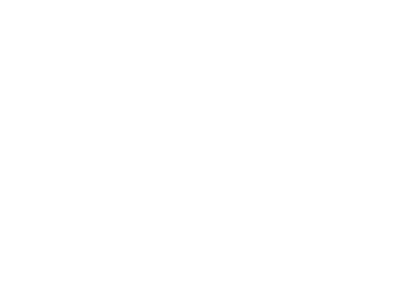 PS Arena